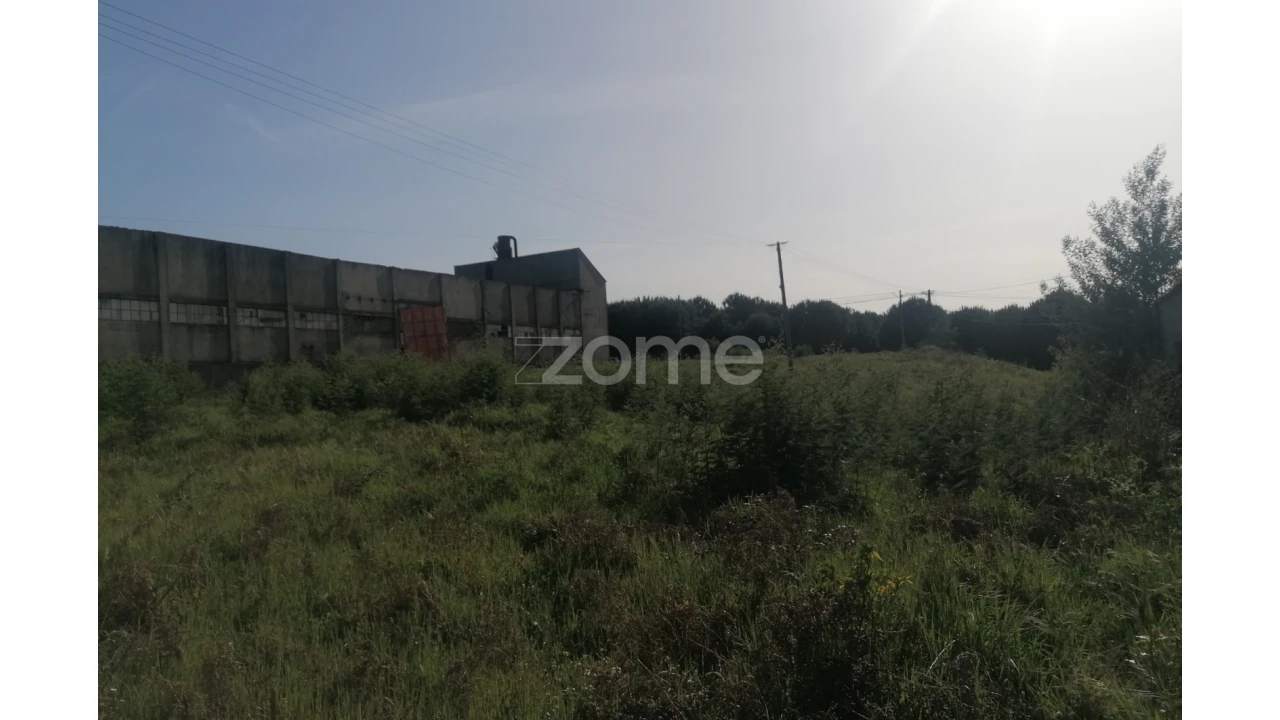 Terreno para Venda em Alvarelhos e Guidões Foto 15