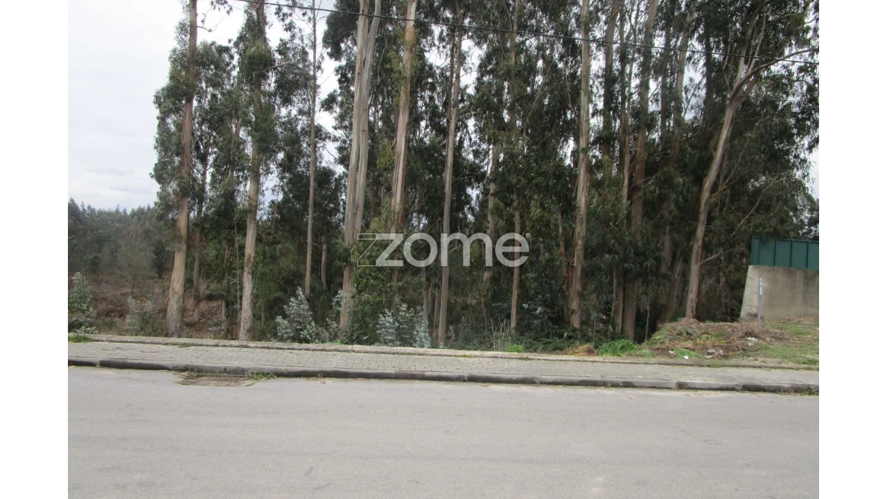 Terreno para Venda em Alvarelhos e Guidões Foto 4