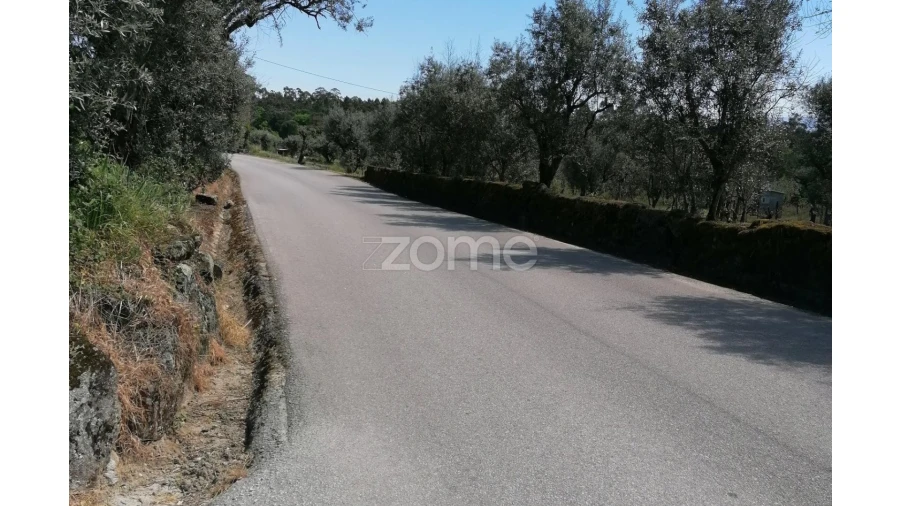 Terreno para Venda em Alvarelhos e Guidões Foto 12