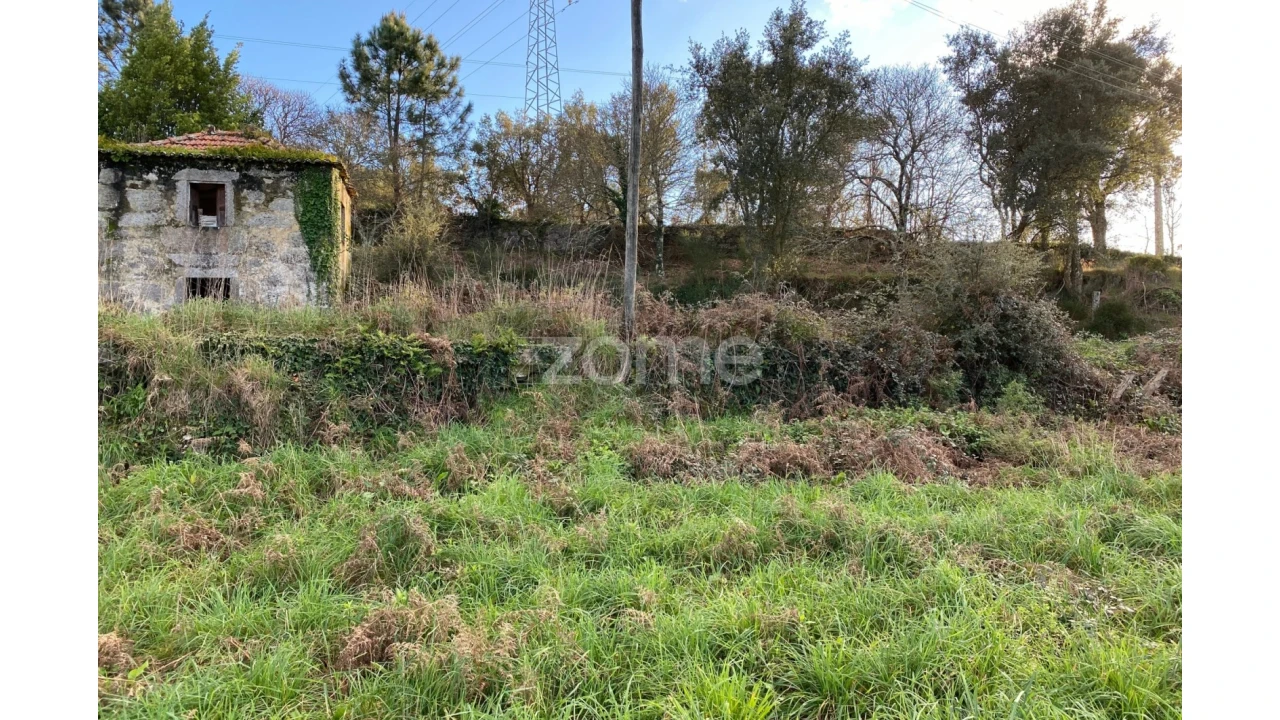 Terreno para Venda em Antas Foto 2