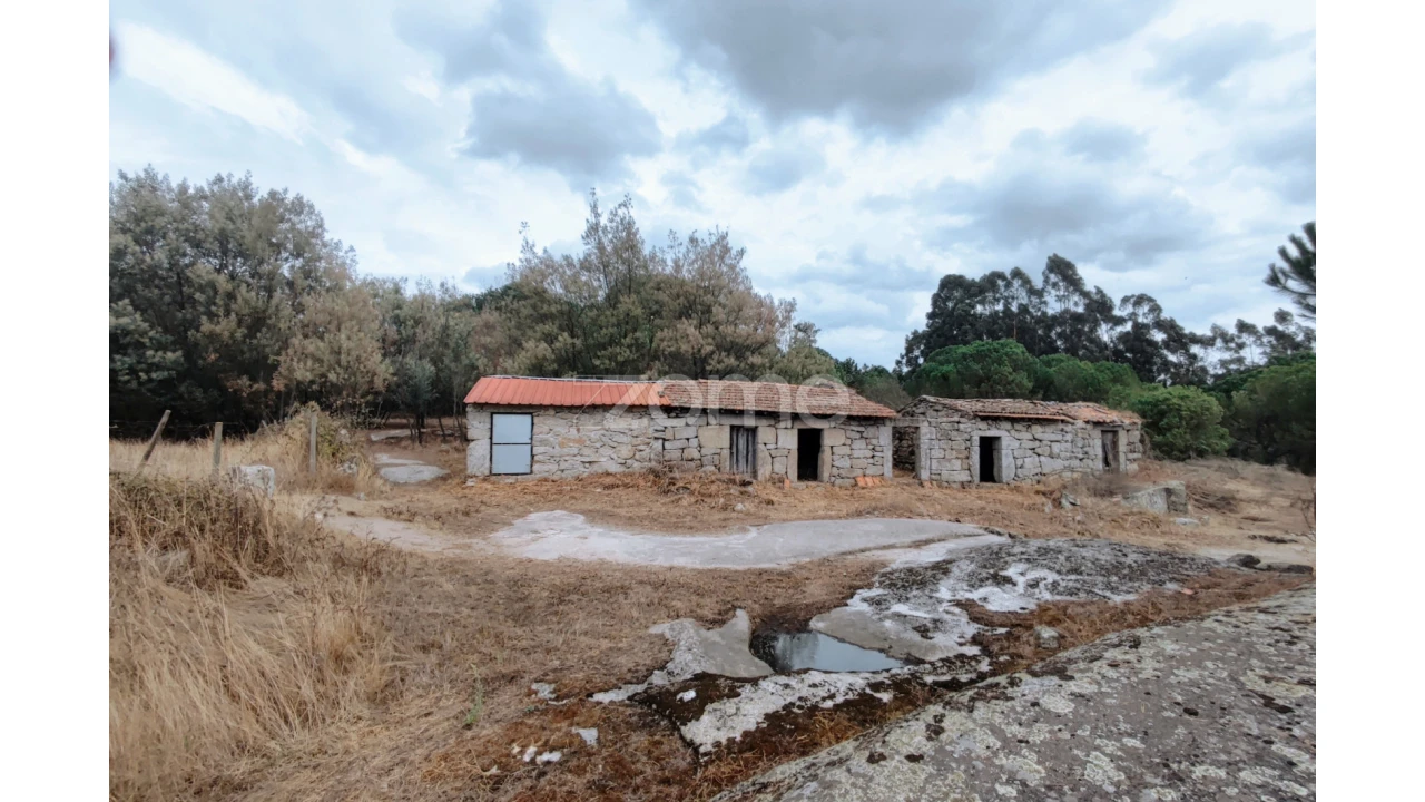 Terreno para Venda em Cabanas de Viriato Foto 2