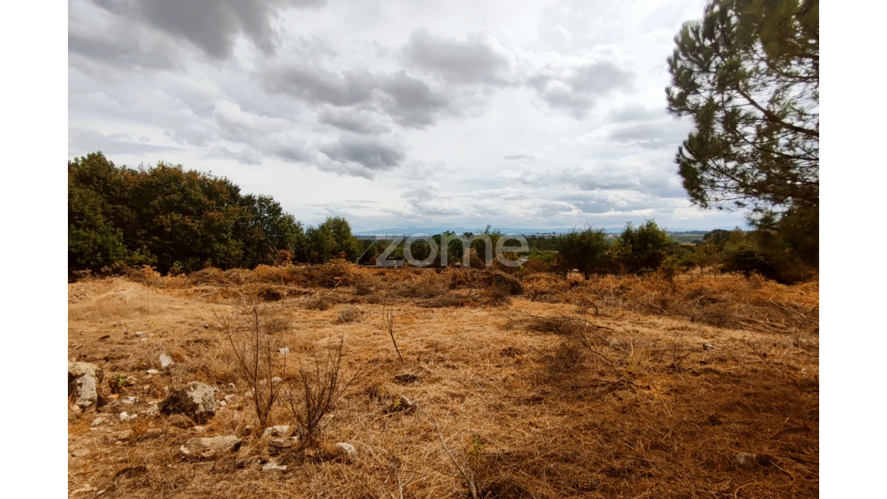 Terreno para Venda em Cabanas de Viriato Foto 8
