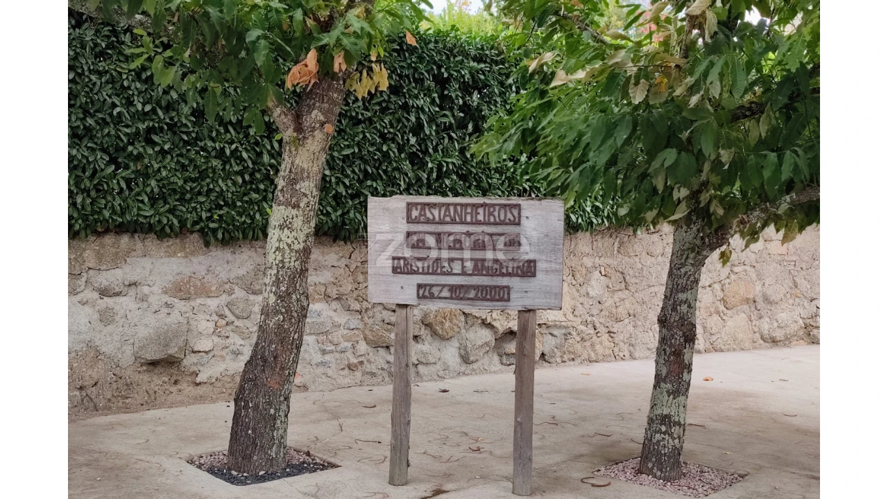 Terreno para Venda em Cabanas de Viriato Foto 11