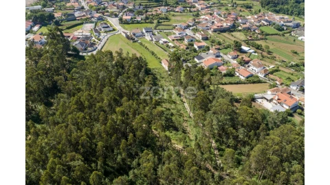 Terreno para Venda em Caldas de São Jorge e Pigeiros