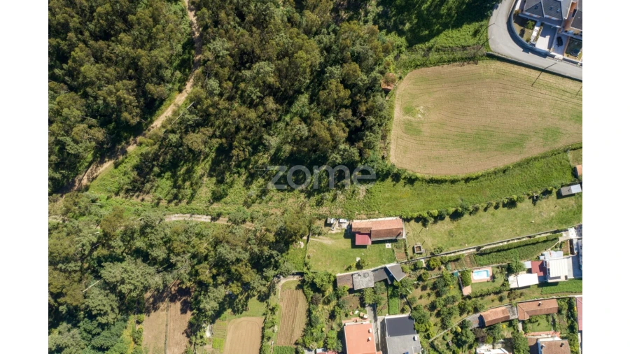 Terreno para Venda em Caldas de São Jorge e Pigeiros Foto 3