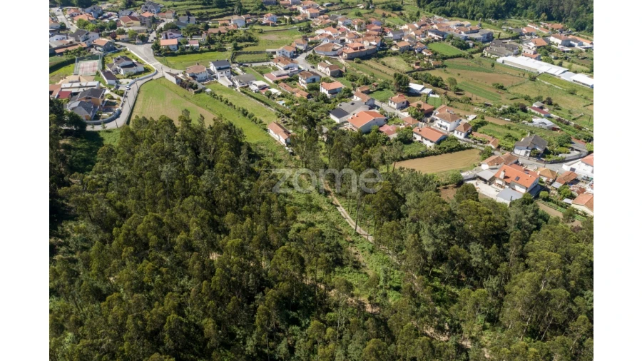 Terreno para Venda em Caldas de São Jorge e Pigeiros Foto 6