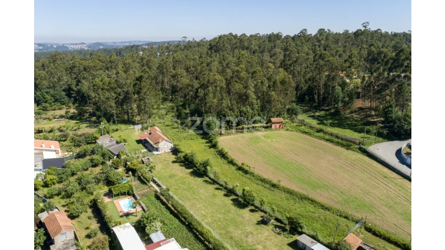 Terreno para Venda em Caldas de São Jorge e Pigeiros Foto 9