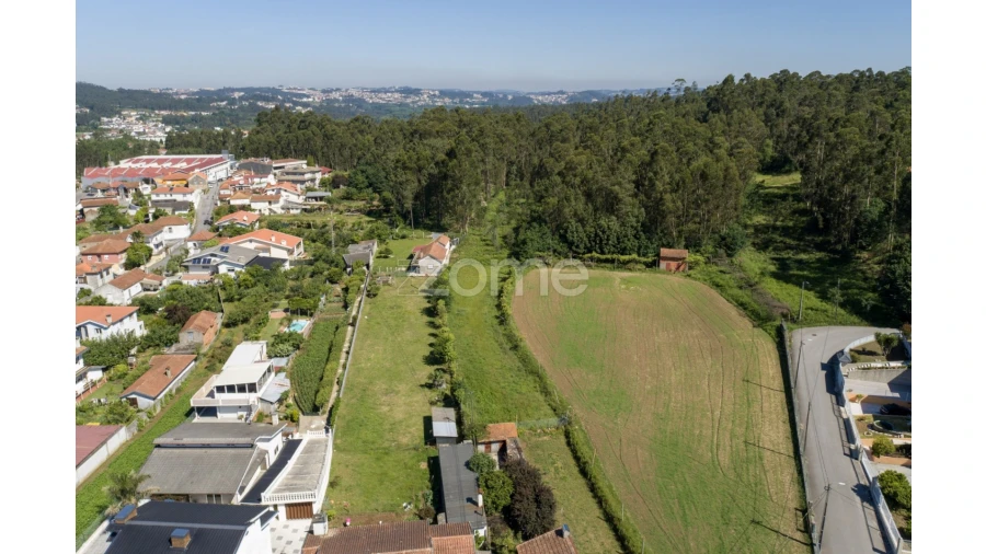 Terreno para Venda em Caldas de São Jorge e Pigeiros Foto 12