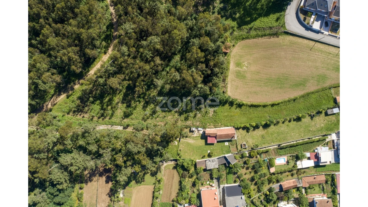 Terreno para Venda em Caldas de São Jorge e Pigeiros Foto 3
