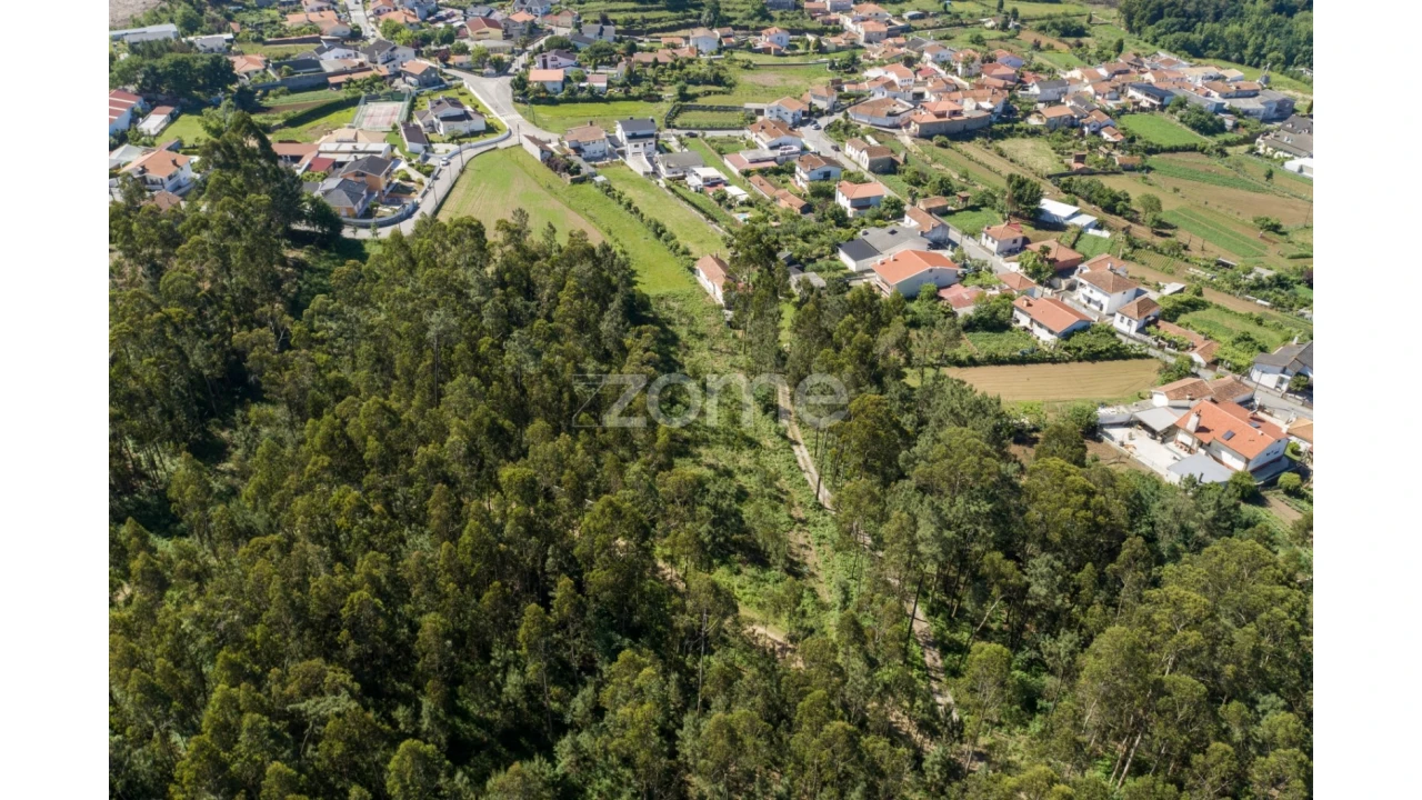 Terreno para Venda em Caldas de São Jorge e Pigeiros Foto 4