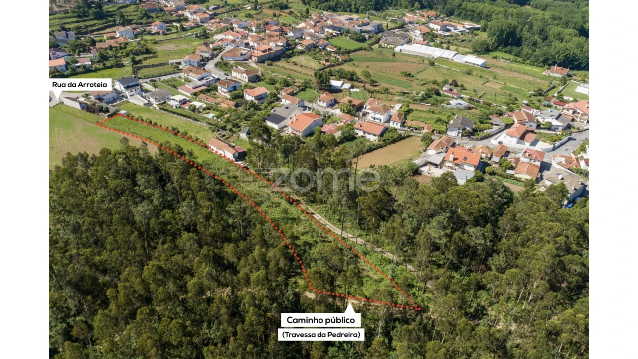 Terreno para Venda em Caldas de São Jorge e Pigeiros Foto 5