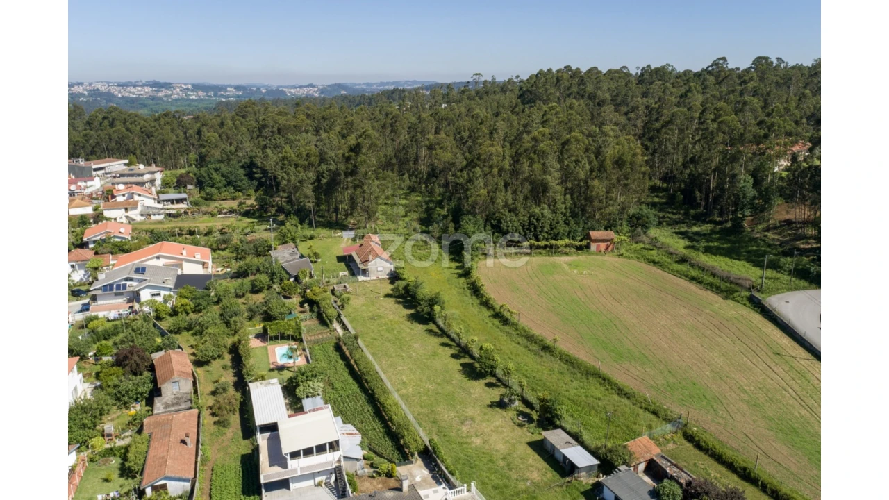 Terreno para Venda em Caldas de São Jorge e Pigeiros Foto 10