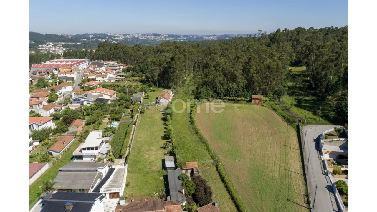 Terreno para Venda em Caldas de São Jorge e Pigeiros Foto 12
