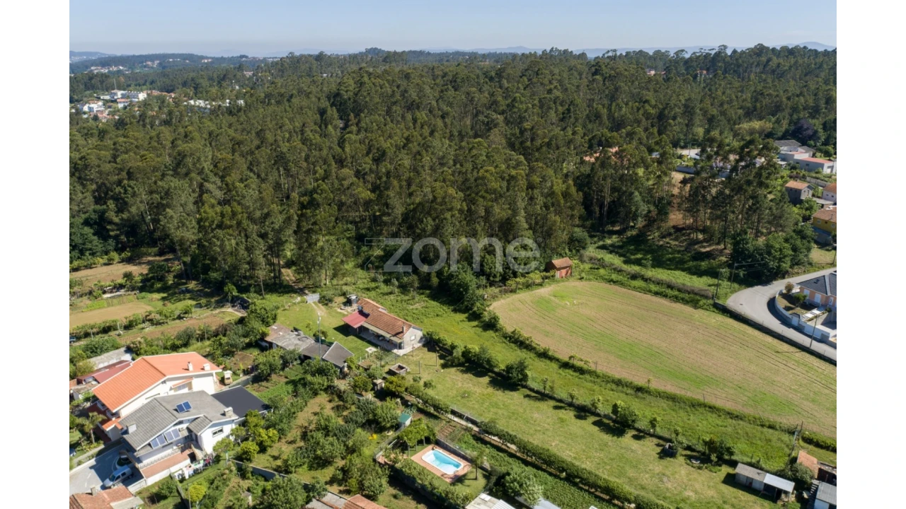 Terreno para Venda em Caldas de São Jorge e Pigeiros Foto 8