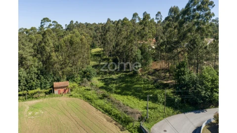 Terreno para Venda em Caldas de São Jorge e Pigeiros
