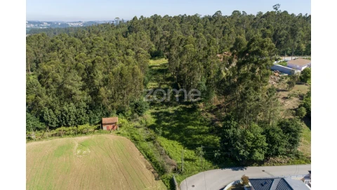 Terreno para Venda em Caldas de São Jorge e Pigeiros