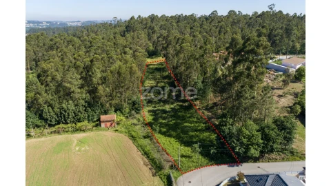 Terreno para Venda em Caldas de São Jorge e Pigeiros