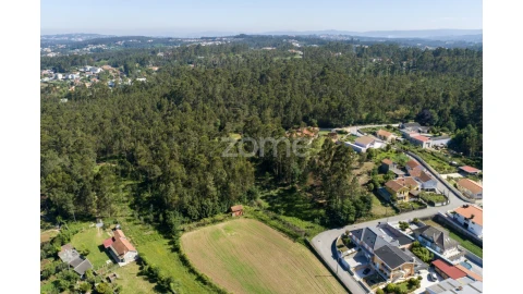Terreno para Venda em Caldas de São Jorge e Pigeiros