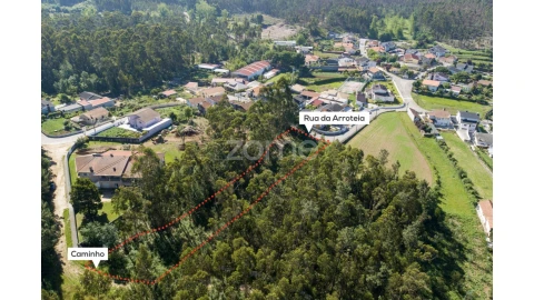 Terreno para Venda em Caldas de São Jorge e Pigeiros