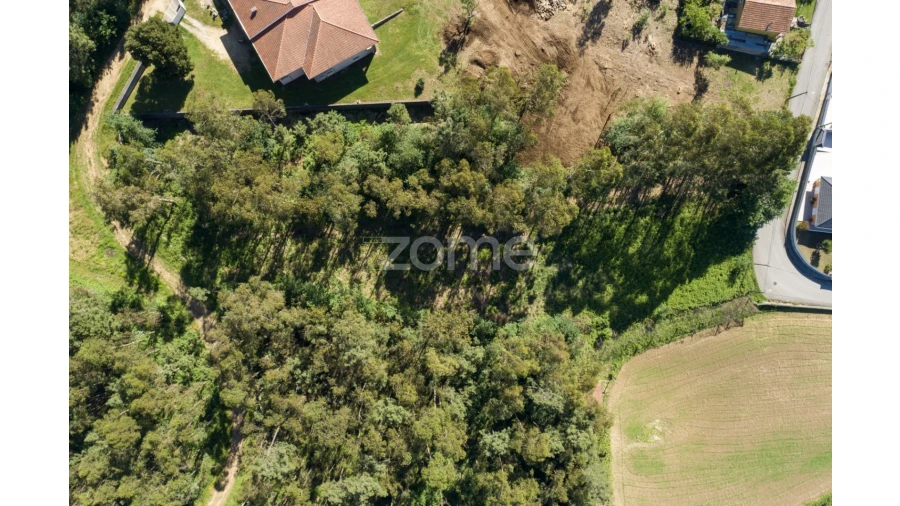 Terreno para Venda em Caldas de São Jorge e Pigeiros Foto 3