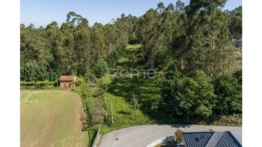 Terreno para Venda em Caldas de São Jorge e Pigeiros Foto 7