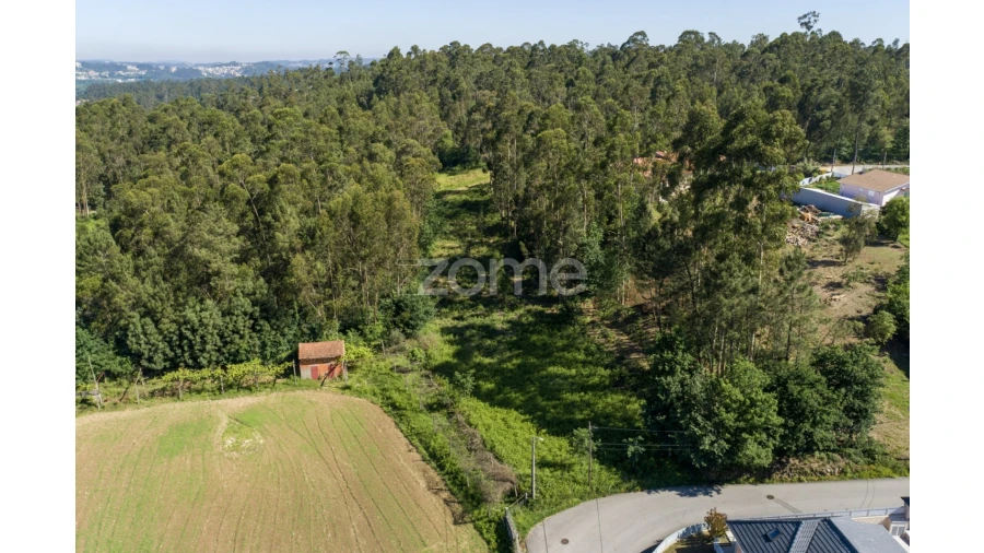 Terreno para Venda em Caldas de São Jorge e Pigeiros Foto 11