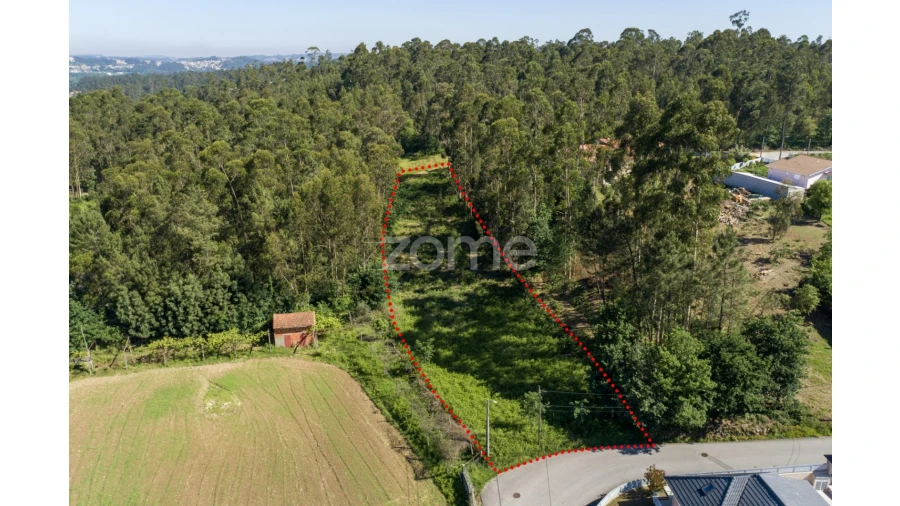 Terreno para Venda em Caldas de São Jorge e Pigeiros Foto 12