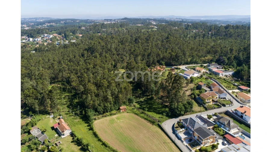 Terreno para Venda em Caldas de São Jorge e Pigeiros Foto 13