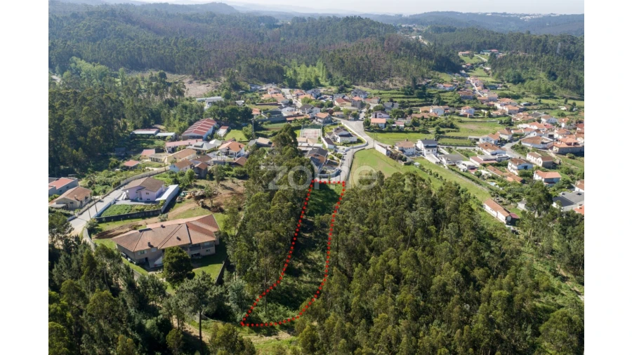 Terreno para Venda em Caldas de São Jorge e Pigeiros Foto 16