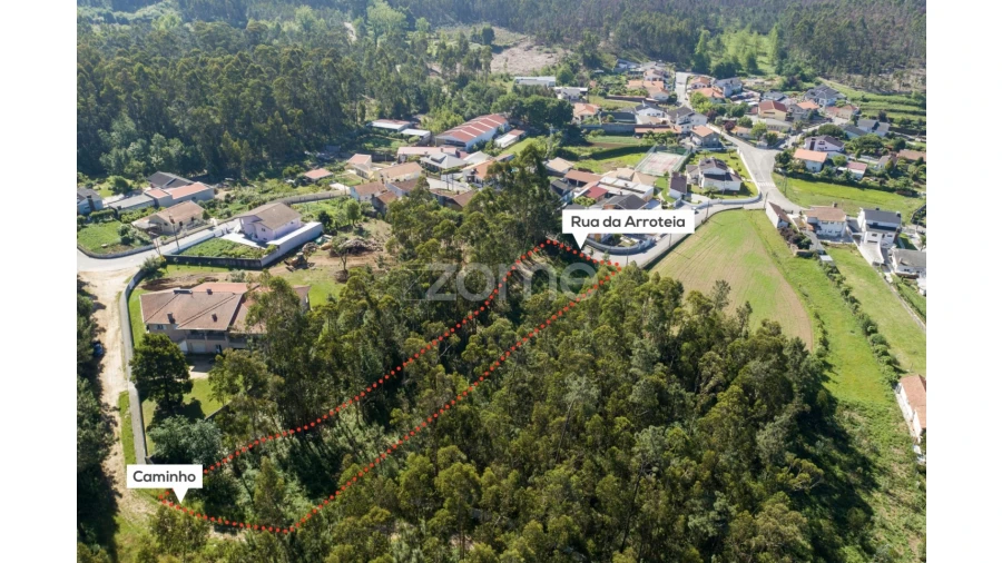 Terreno para Venda em Caldas de São Jorge e Pigeiros Foto 18