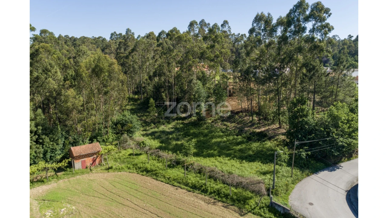 Terreno para Venda em Caldas de São Jorge e Pigeiros Foto 4