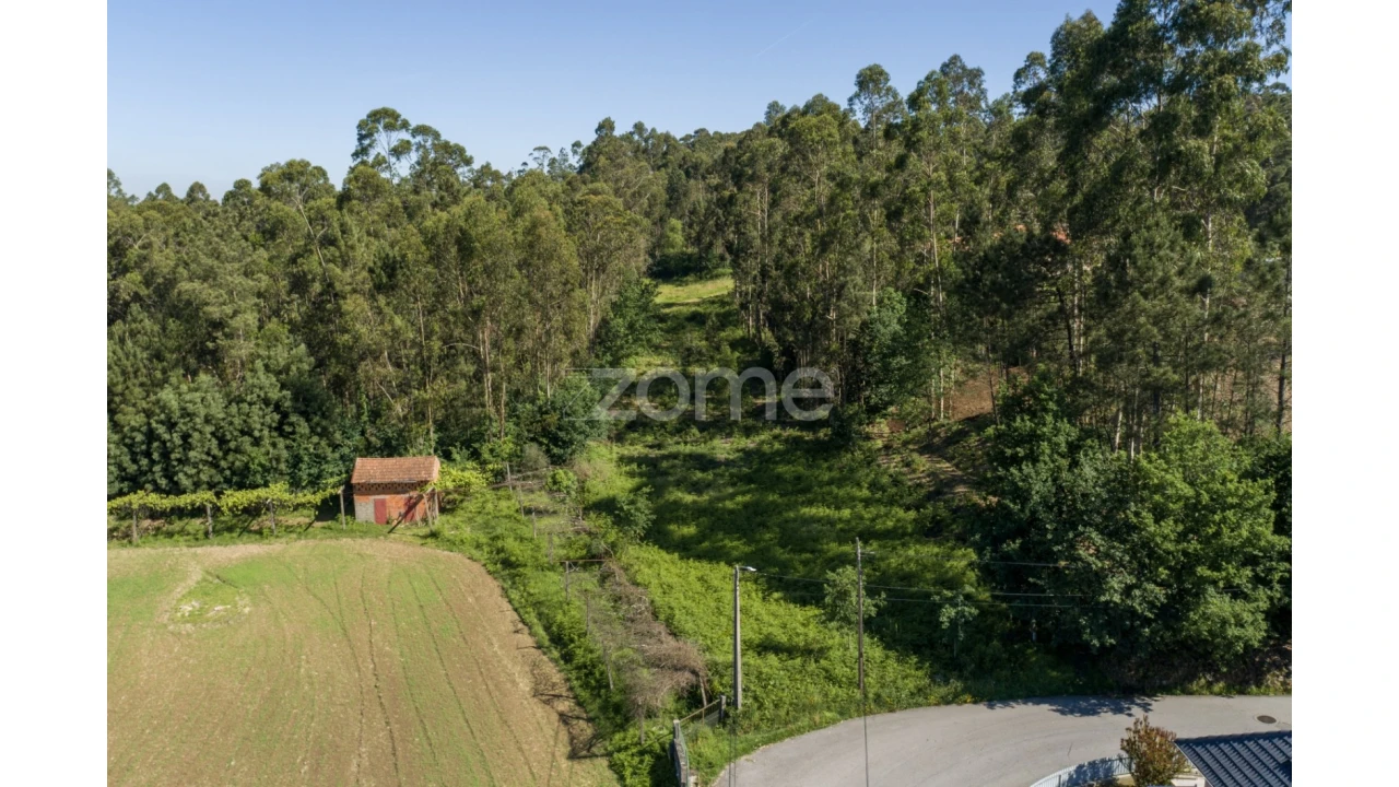 Terreno para Venda em Caldas de São Jorge e Pigeiros Foto 6