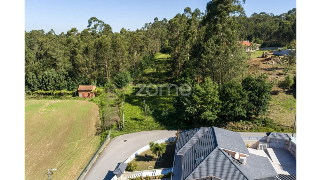 Terreno para Venda em Caldas de São Jorge e Pigeiros Foto 8