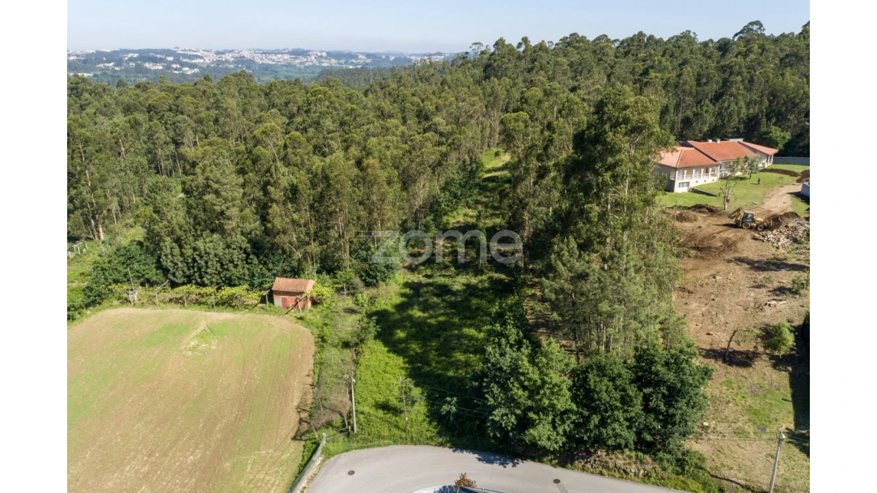 Terreno para Venda em Caldas de São Jorge e Pigeiros Foto 9