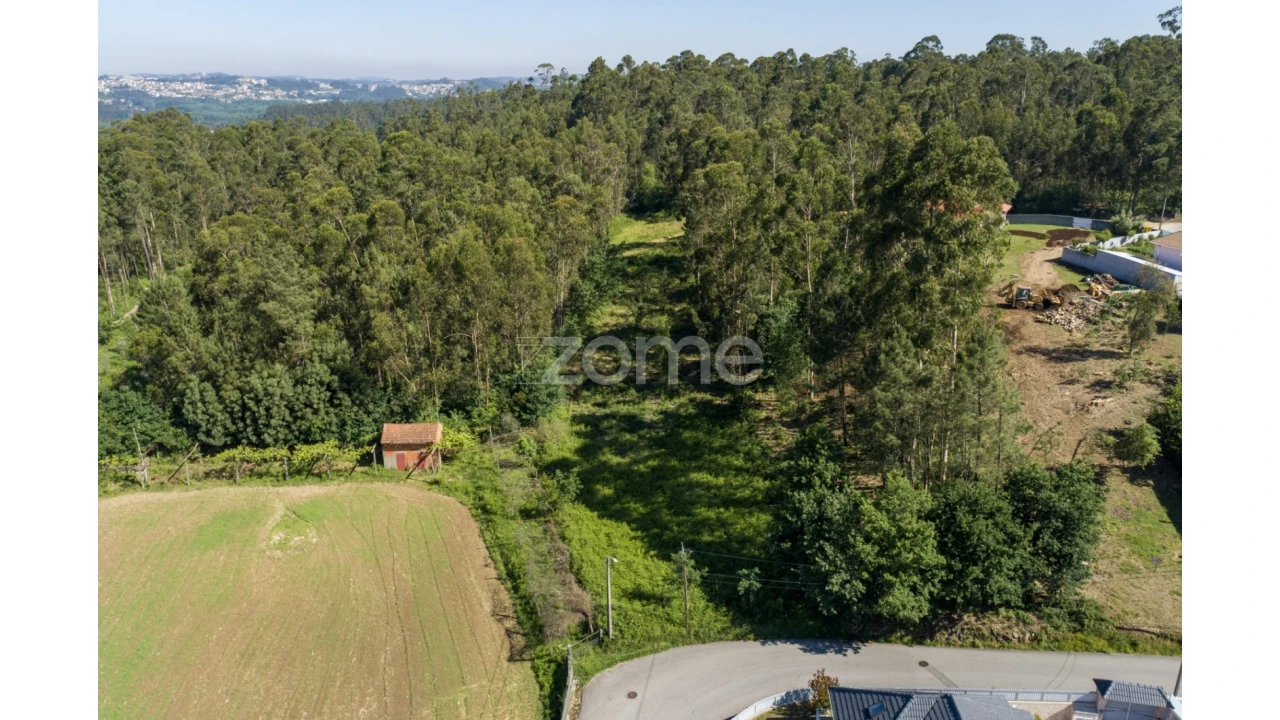 Terreno para Venda em Caldas de São Jorge e Pigeiros Foto 10