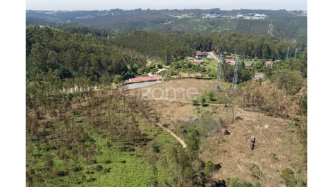 Terreno para Venda em Caldas de São Jorge e Pigeiros