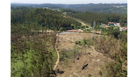 Terreno para Venda em Caldas de São Jorge e Pigeiros