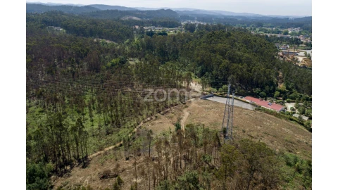 Terreno para Venda em Caldas de São Jorge e Pigeiros