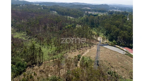 Terreno para Venda em Caldas de São Jorge e Pigeiros