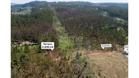 Terreno para Venda em Caldas de São Jorge e Pigeiros