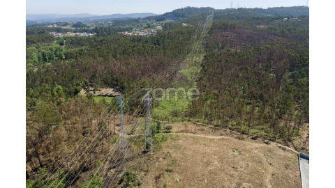 Terreno para Venda em Caldas de São Jorge e Pigeiros