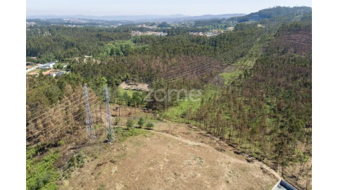 Terreno para Venda em Caldas de São Jorge e Pigeiros
