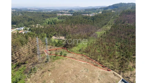 Terreno para Venda em Caldas de São Jorge e Pigeiros