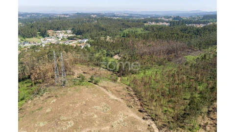 Terreno para Venda em Caldas de São Jorge e Pigeiros
