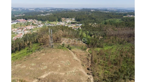 Terreno para Venda em Caldas de São Jorge e Pigeiros