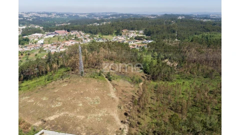 Terreno para Venda em Caldas de São Jorge e Pigeiros