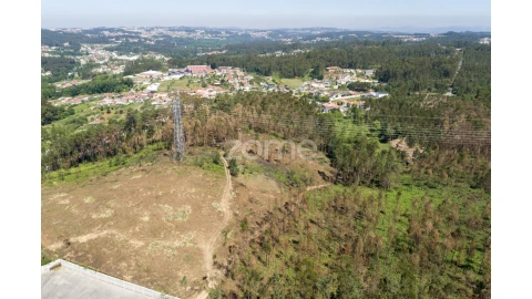 Terreno para Venda em Caldas de São Jorge e Pigeiros