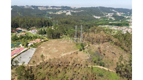 Terreno para Venda em Caldas de São Jorge e Pigeiros
