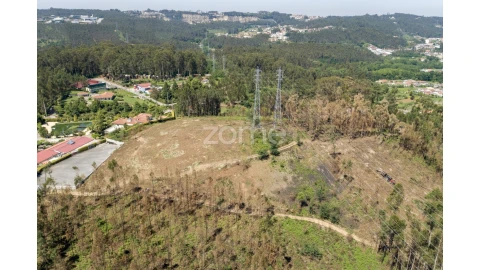 Terreno para Venda em Caldas de São Jorge e Pigeiros