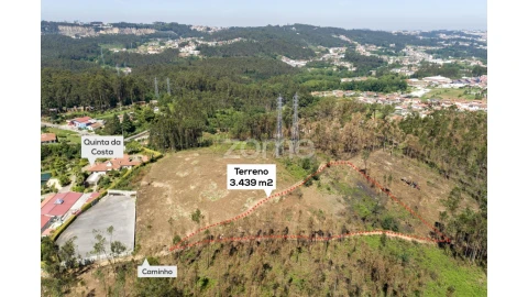 Terreno para Venda em Caldas de São Jorge e Pigeiros